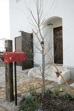 シンプルな外観に個性が光ります。